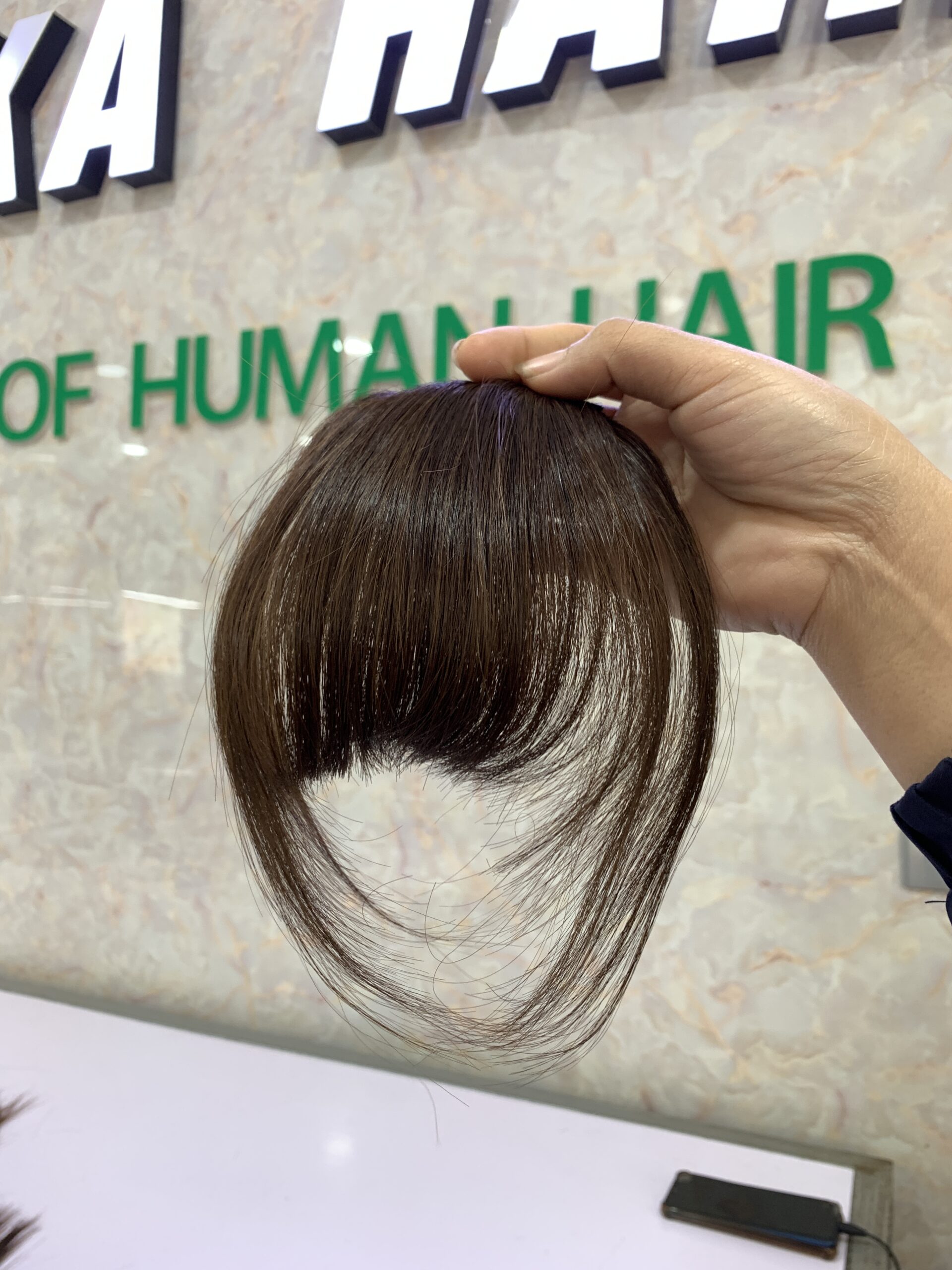 Clip in Bangs Natural Colors